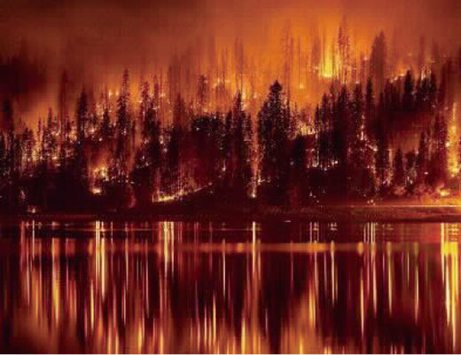 画像: カリフォルニアの山火事
